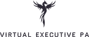 The Virtual Executive PA